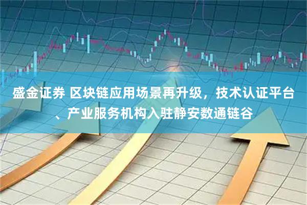 盛金证券 区块链应用场景再升级，技术认证平台、产业服务机构入驻静安数通链谷