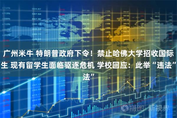 广州米牛 特朗普政府下令！禁止哈佛大学招收国际生 现有留学生面临驱逐危机 学校回应：此举“违法”