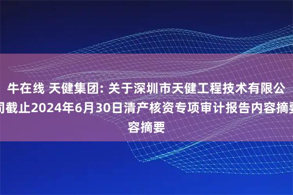 牛在线 天健集团: 关于深圳市天健工程技术有限公司截止2024年6月30日清产核资专项审计报告内容摘要