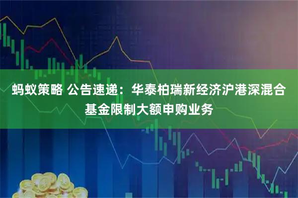 蚂蚁策略 公告速递：华泰柏瑞新经济沪港深混合基金限制大额申购业务